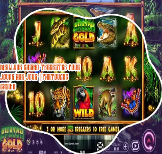 Jeu gratuit casino